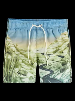 Printed Swim Shorts