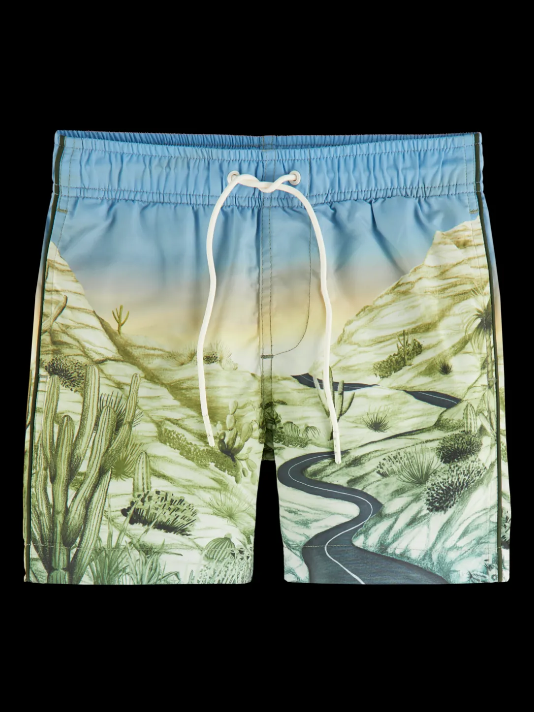 Printed Swim Shorts
