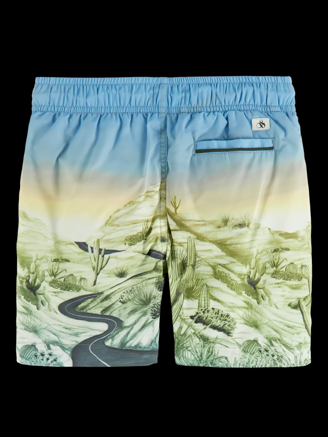 Printed Swim Shorts