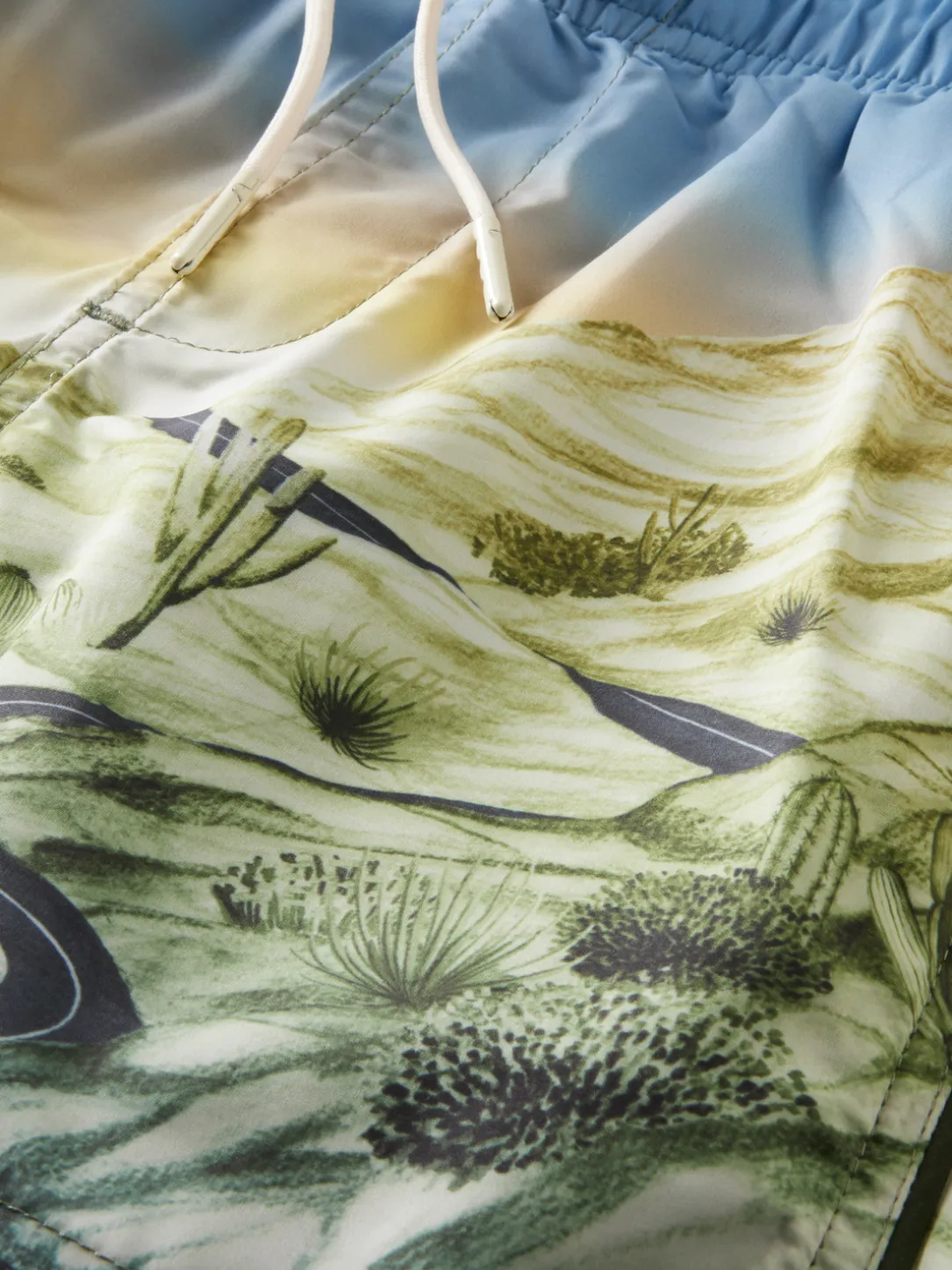 Printed Swim Shorts